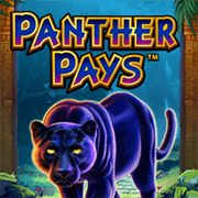 Báo Đen Phát Tài thumbnail